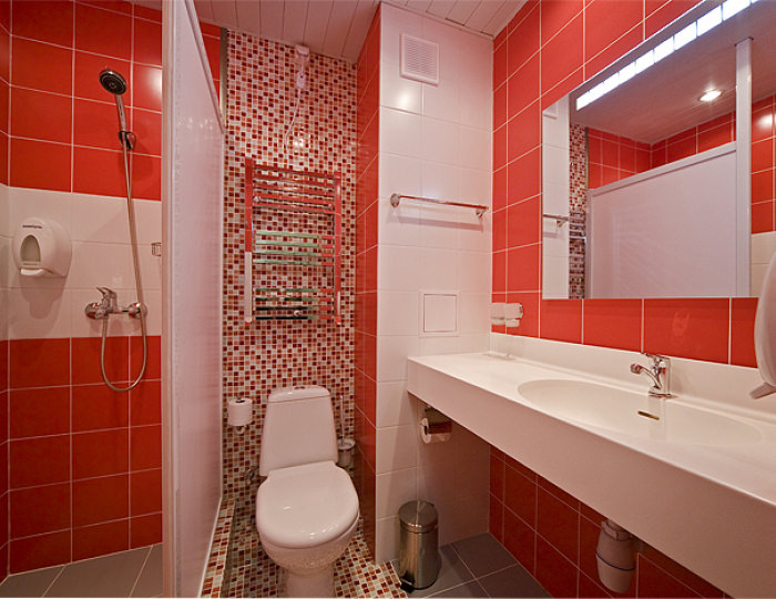 Стандартный 2-местный ЭКОНОМ - Отель Alex Resort & Spa Hotel / Алекс Резорт & Спа